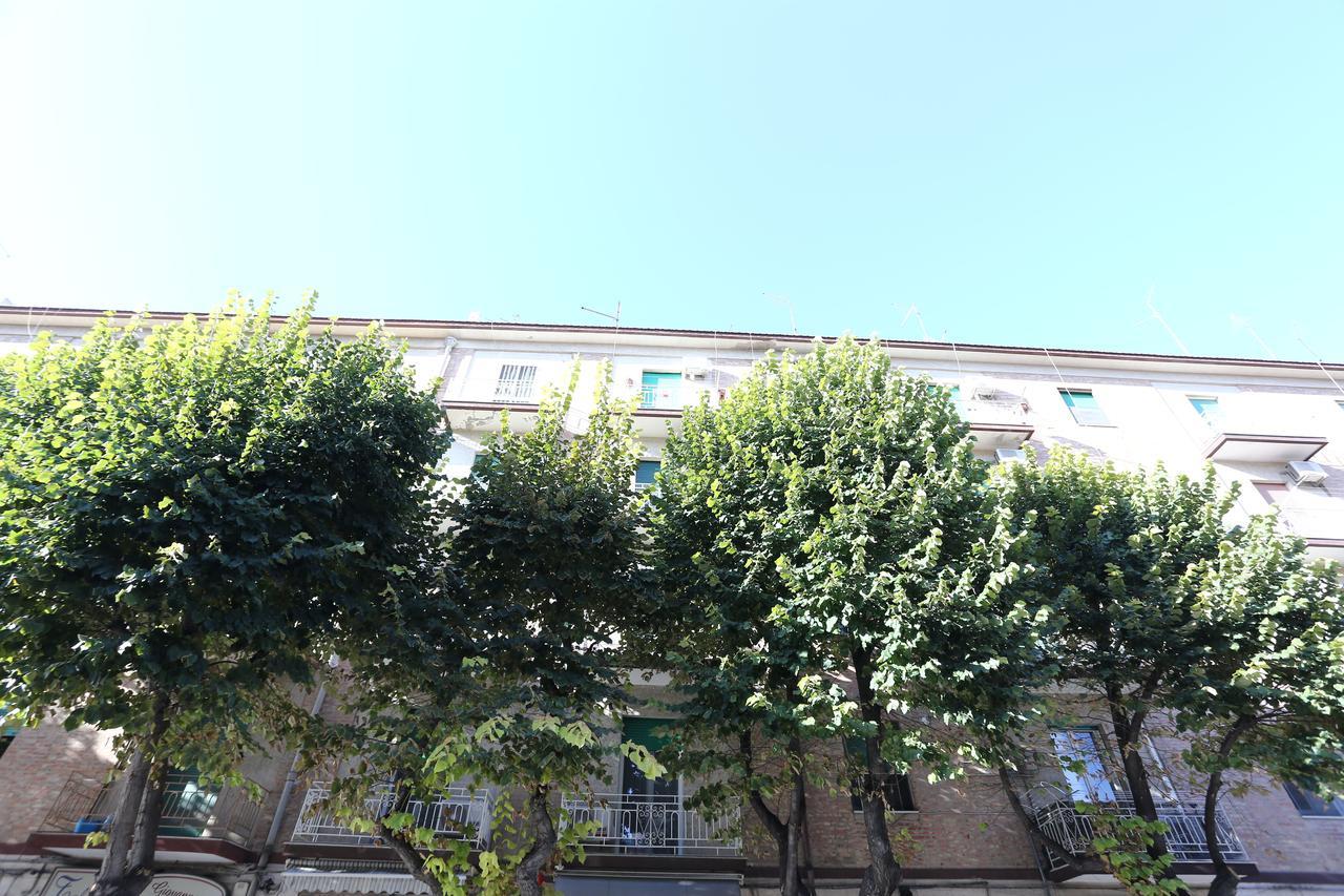 B&B Piano Delle Fosse Φότζια Εξωτερικό φωτογραφία